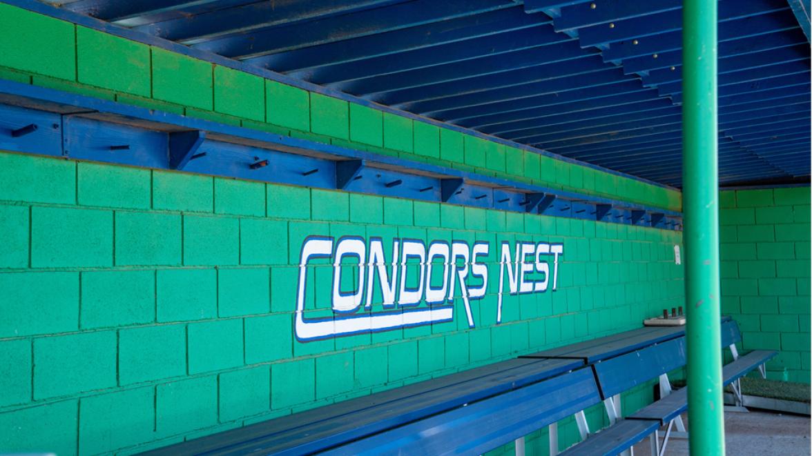 baseball and softball dugout