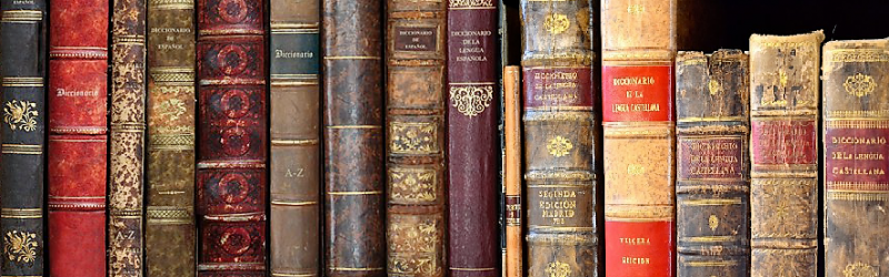 row of old Spanish dictionaries