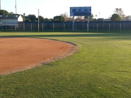 softball_scoreboardweb2.jpg