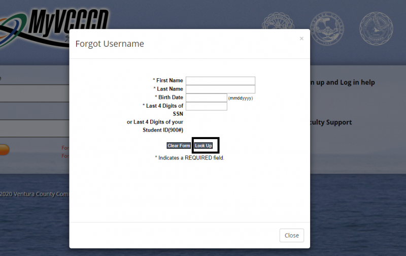 Forgot username form