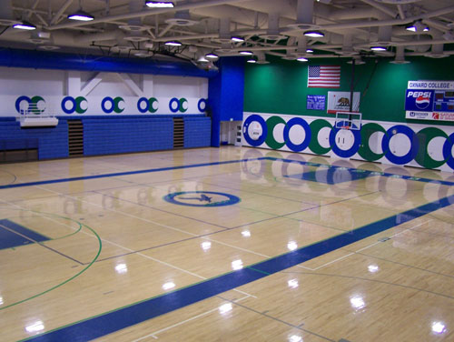Basketball Court