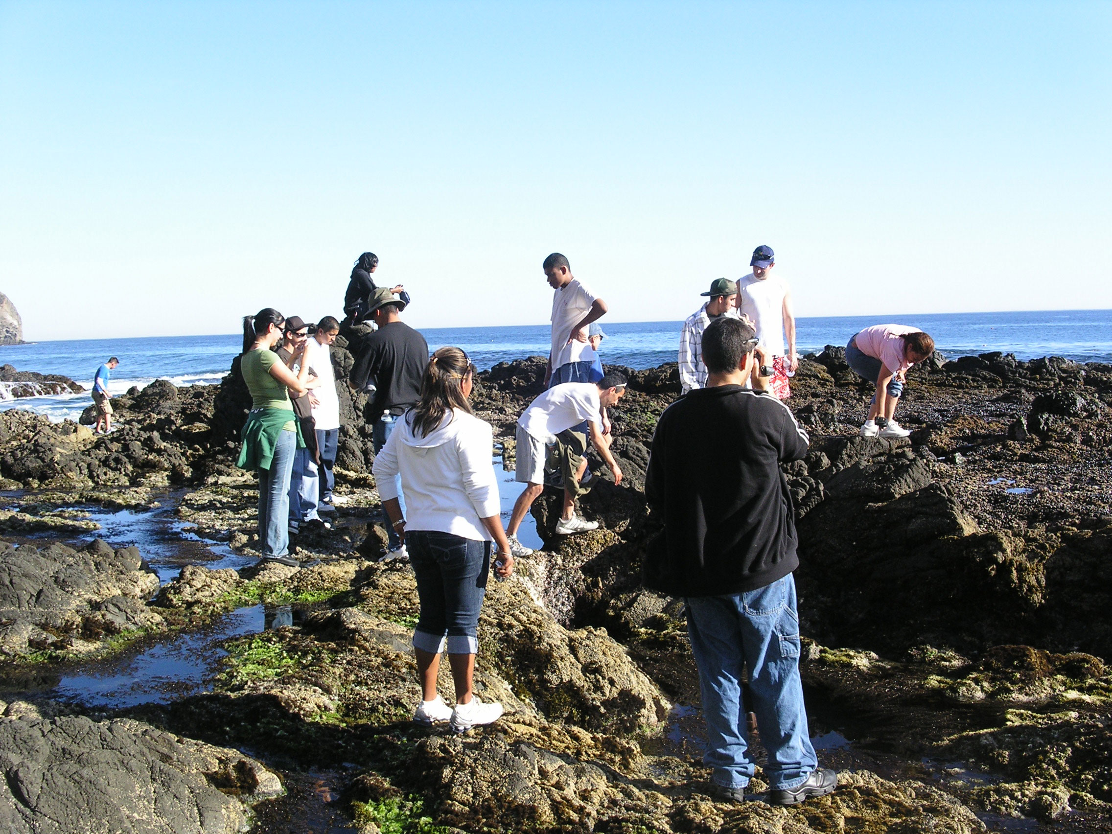 Students exploring Anacapa Island during a Spring 2008 field
