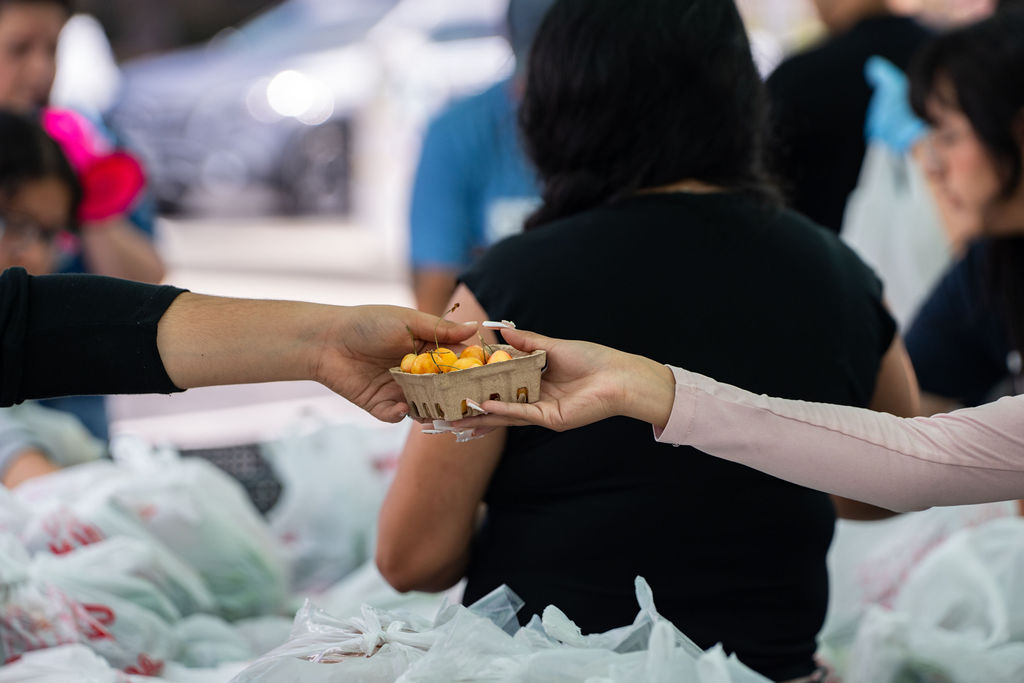 Handing out cherries