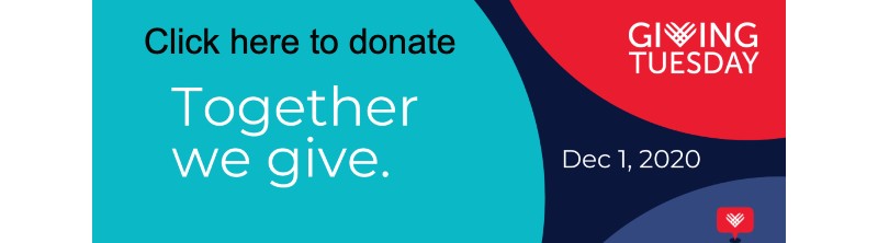 Giving Tuesday donate button