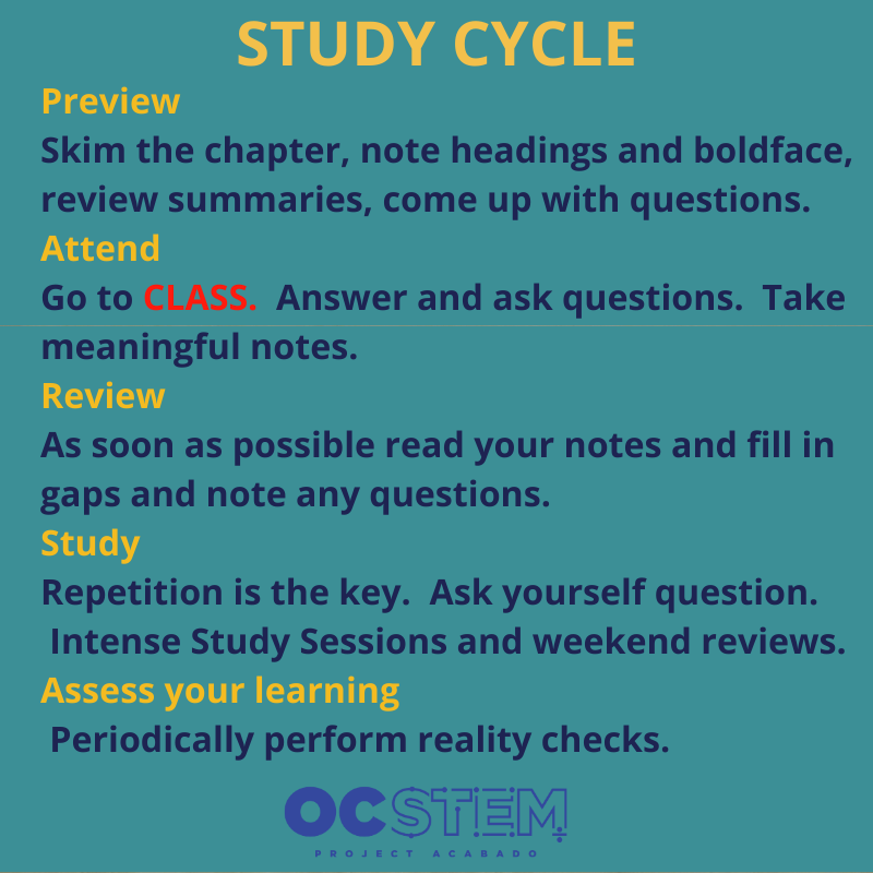 Study Cycle