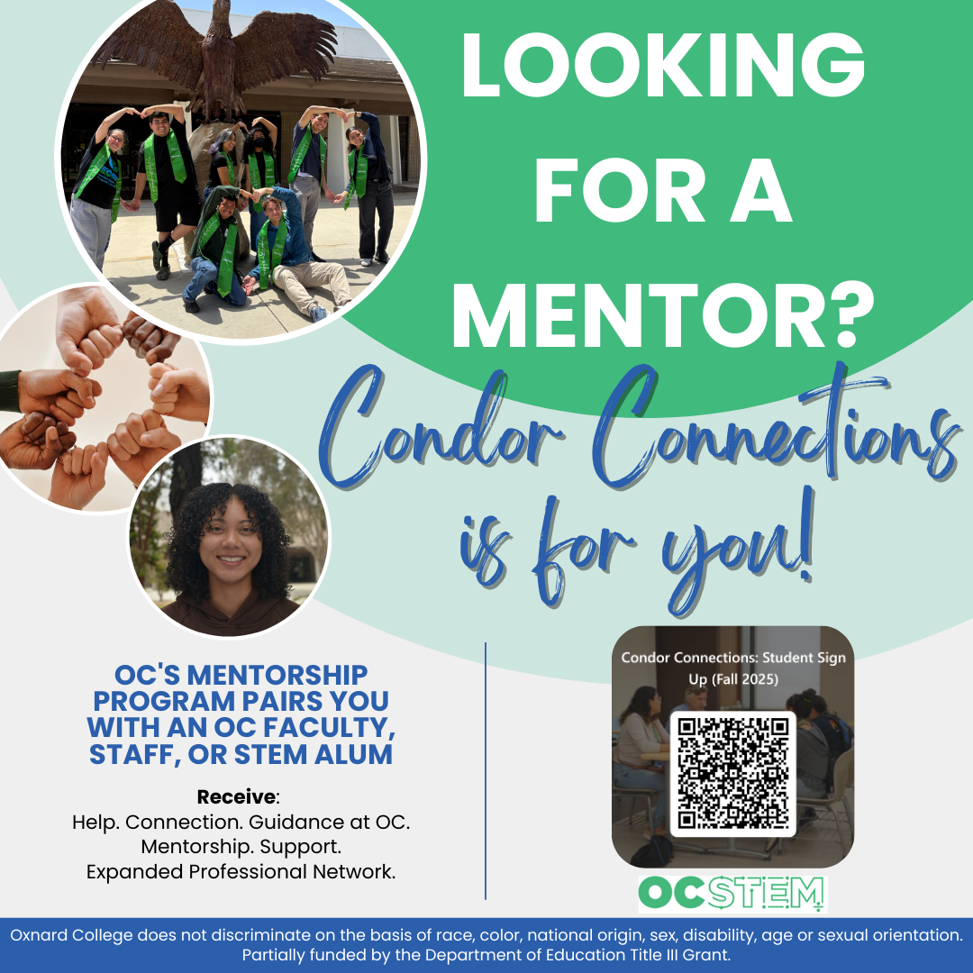 Condor Connections Mentoring Program 