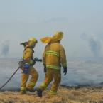 Wildland firefighters putting out a spot fire.