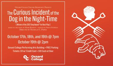 The Curious Incident of the Dog in the Night-Time
