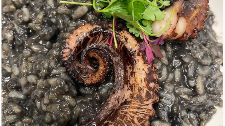 blackened kraken squid ink risotto with grilled octopus and green cilantro garnish, plated on white plate