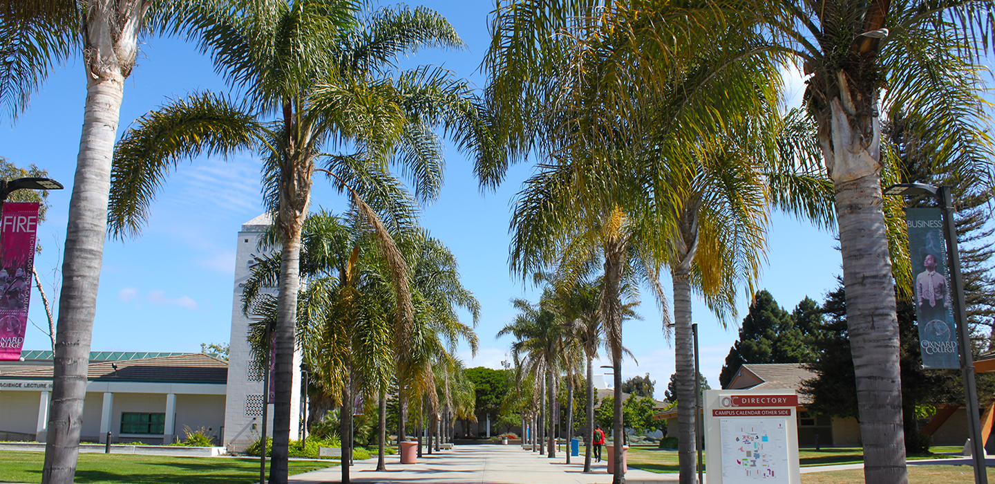 Oxnard Palm-Lined Campus Walk