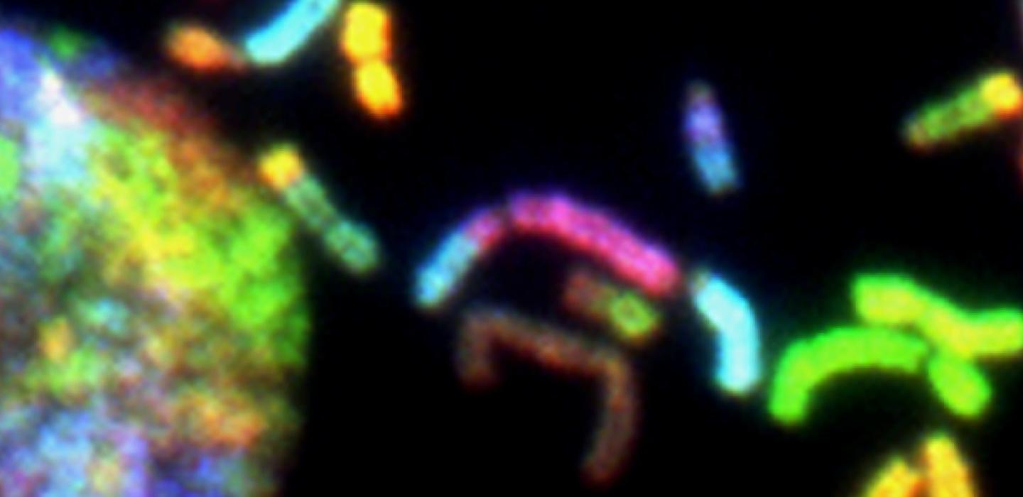 close up of dna structure relating to biology