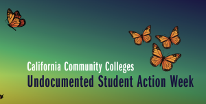 A gradient color background with orange butterflies. Text th A gradient color background with orange butterflies. Text th