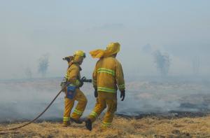 Wildland firefighters putting out a spot fire.